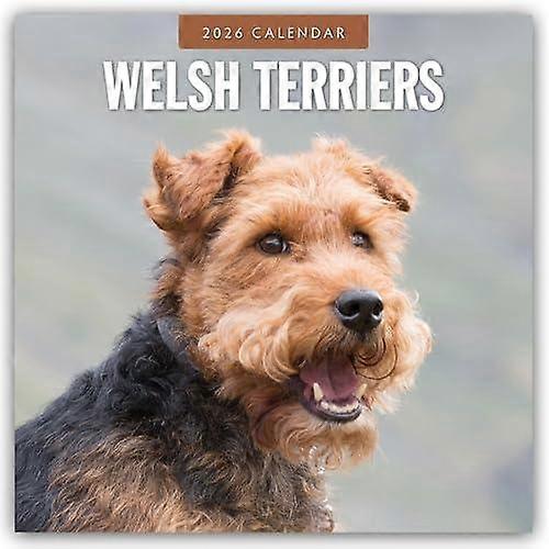 Welsh Terriers 2026 Square Wall Calendar by Red Robin Paperback
