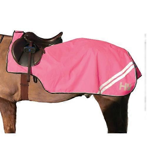 HyVIZ Reflektor Pferd Übungsblatt