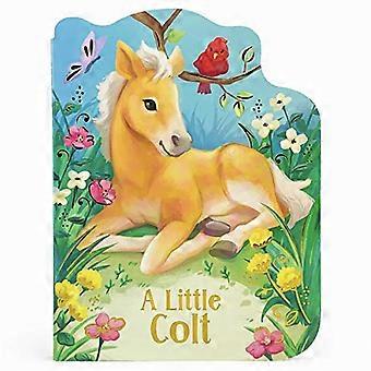 Ein kleines Colt [Board-Buch]