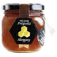 Propolis honey 500 g