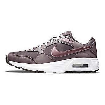 Nike Air Max SC 'Violet Ore' GS CZ5358-200