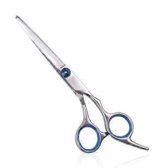 6 Inch Professional Hair Thinning Scissors with Precise Thinning Control and Ergonomic Stainless Grip