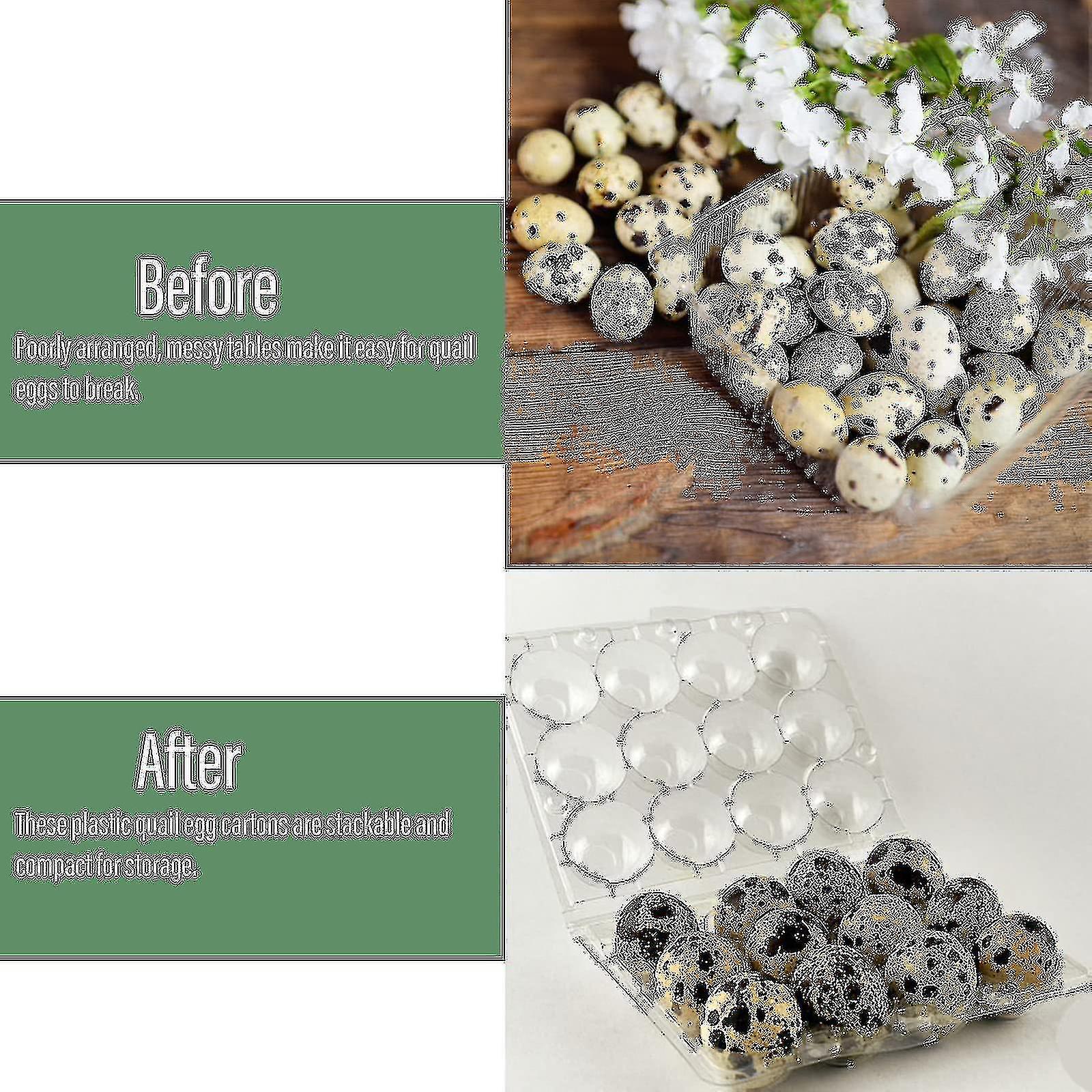 30 Scatoline Per Uova Di Quaglia In Plastica Trasparente - Griglia Da 12 Posti, Ideale Per Frigo O Picnic - Foto 3