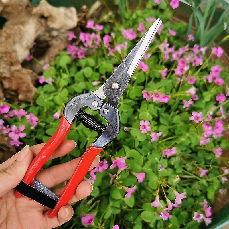 Gardening Tools with Plastic Handle Grape Fruit Picking