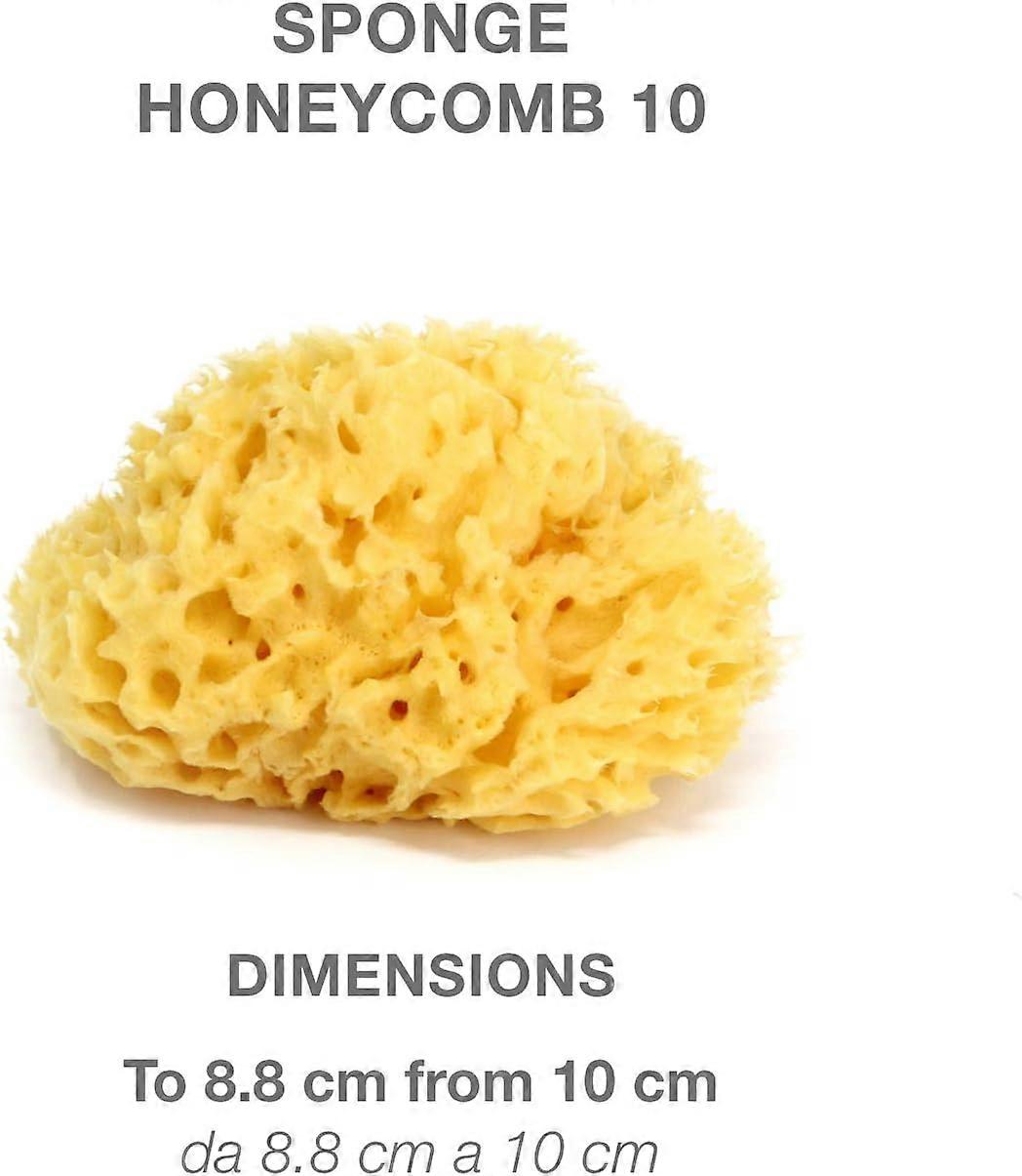 Natural Mediterranean Sponge for Newborn Bath - Size 10