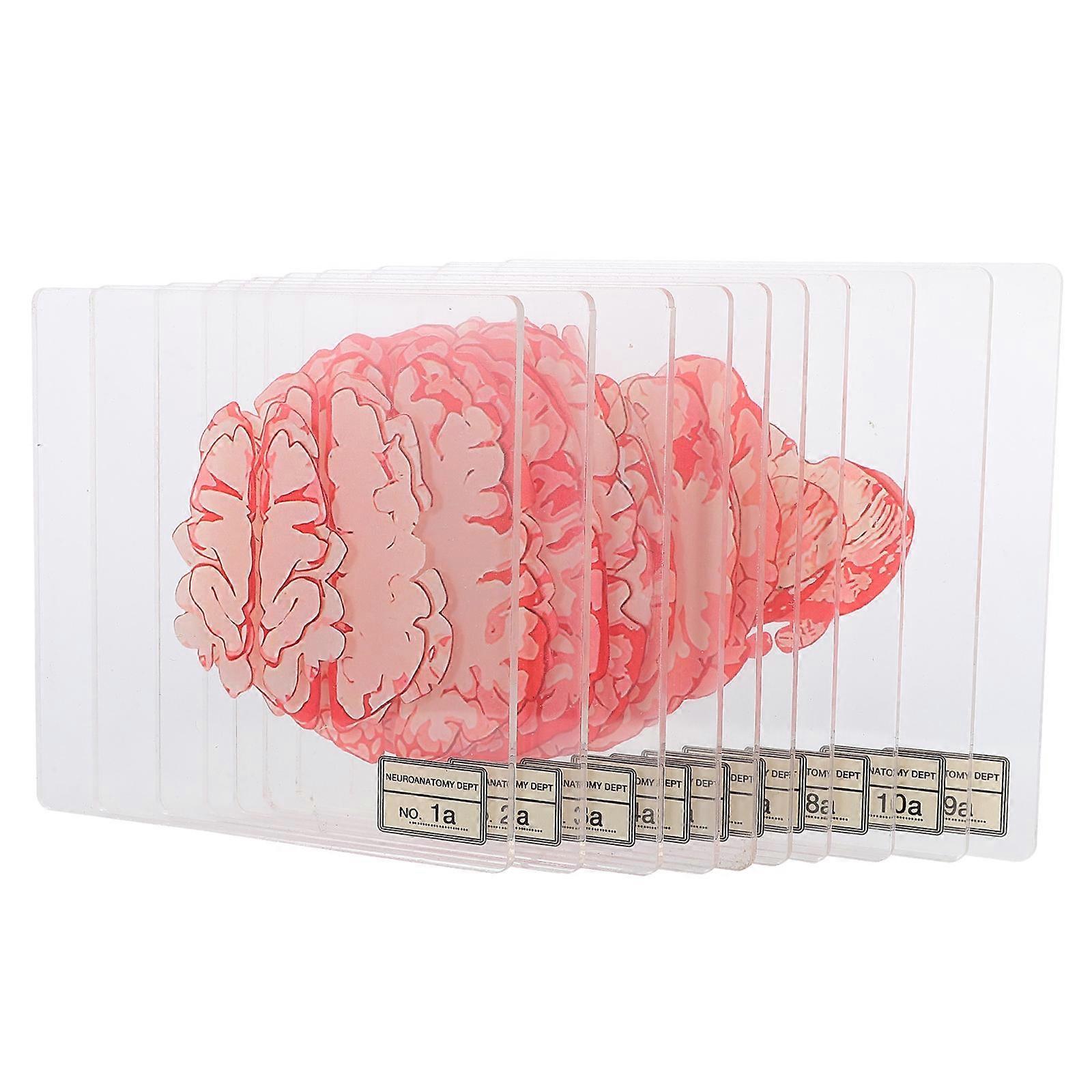 Kitchen Hot Pads Acrylic Coasters for 40Pcs Halloween Setting