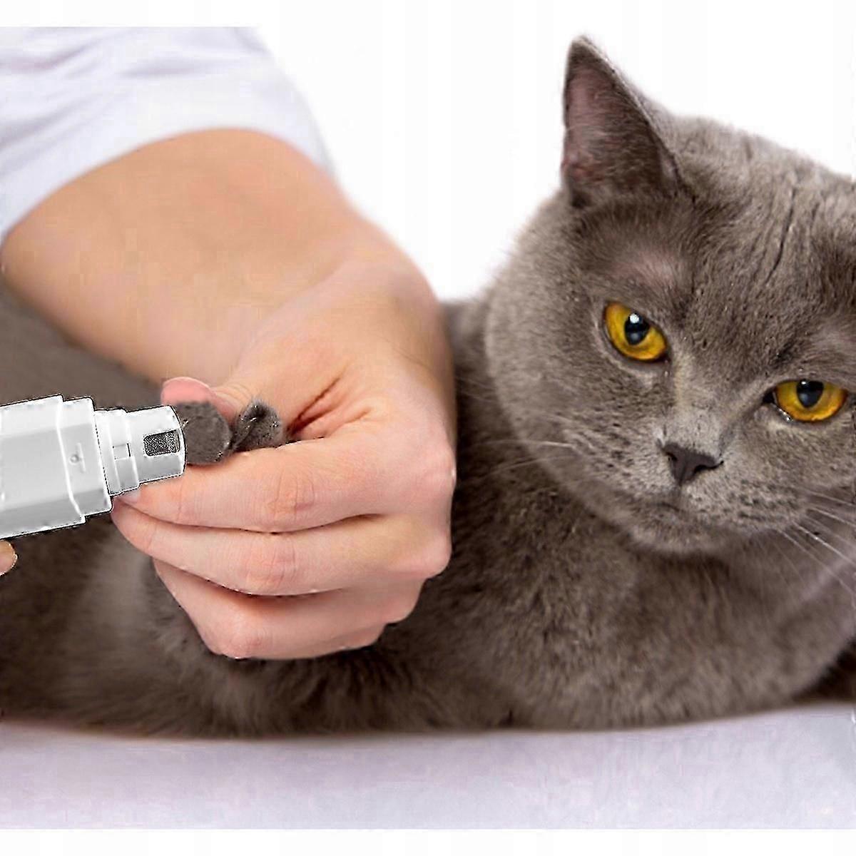 2026 Electric Nail File For Dogs