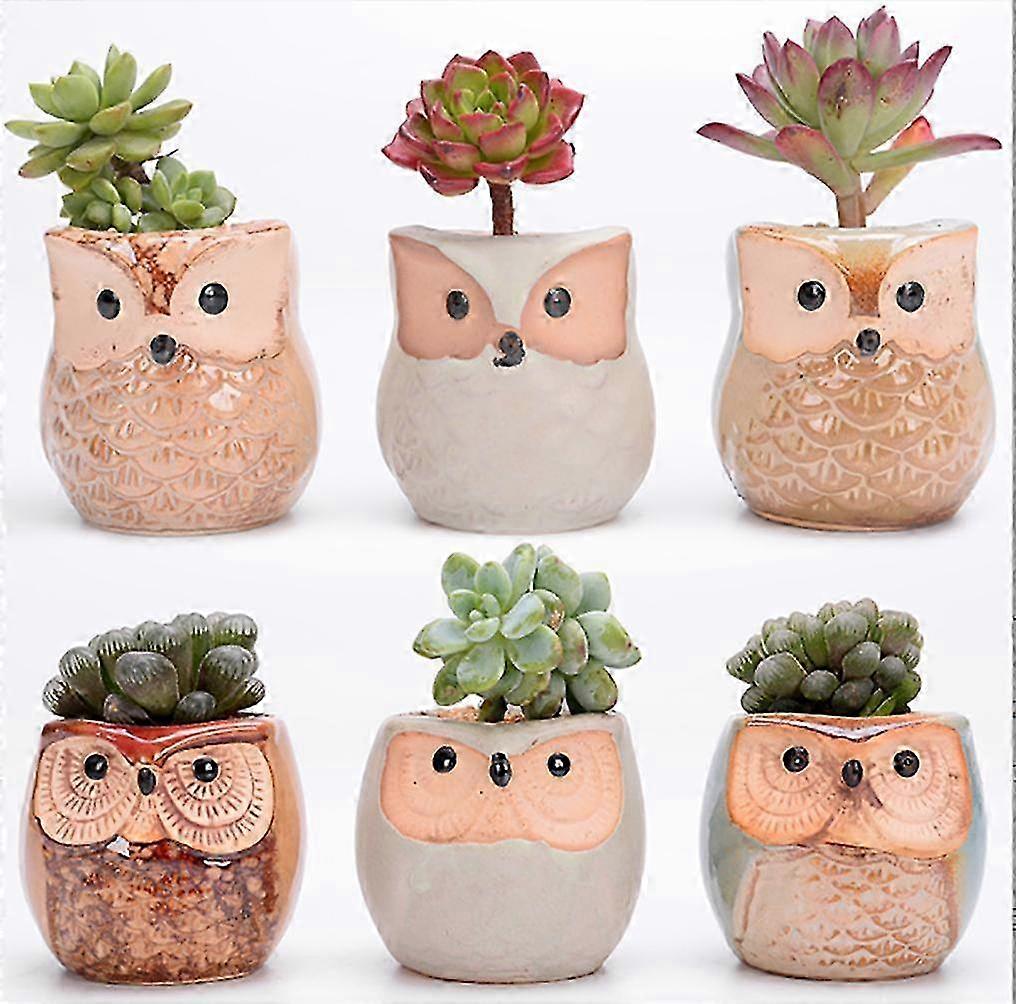 6 PCS Cute Owl Flower Pots