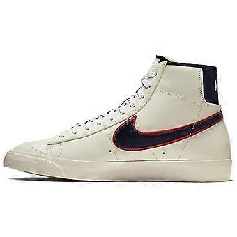 Nike Blazer Mid 77 City Pride Chicago CD9318-100
