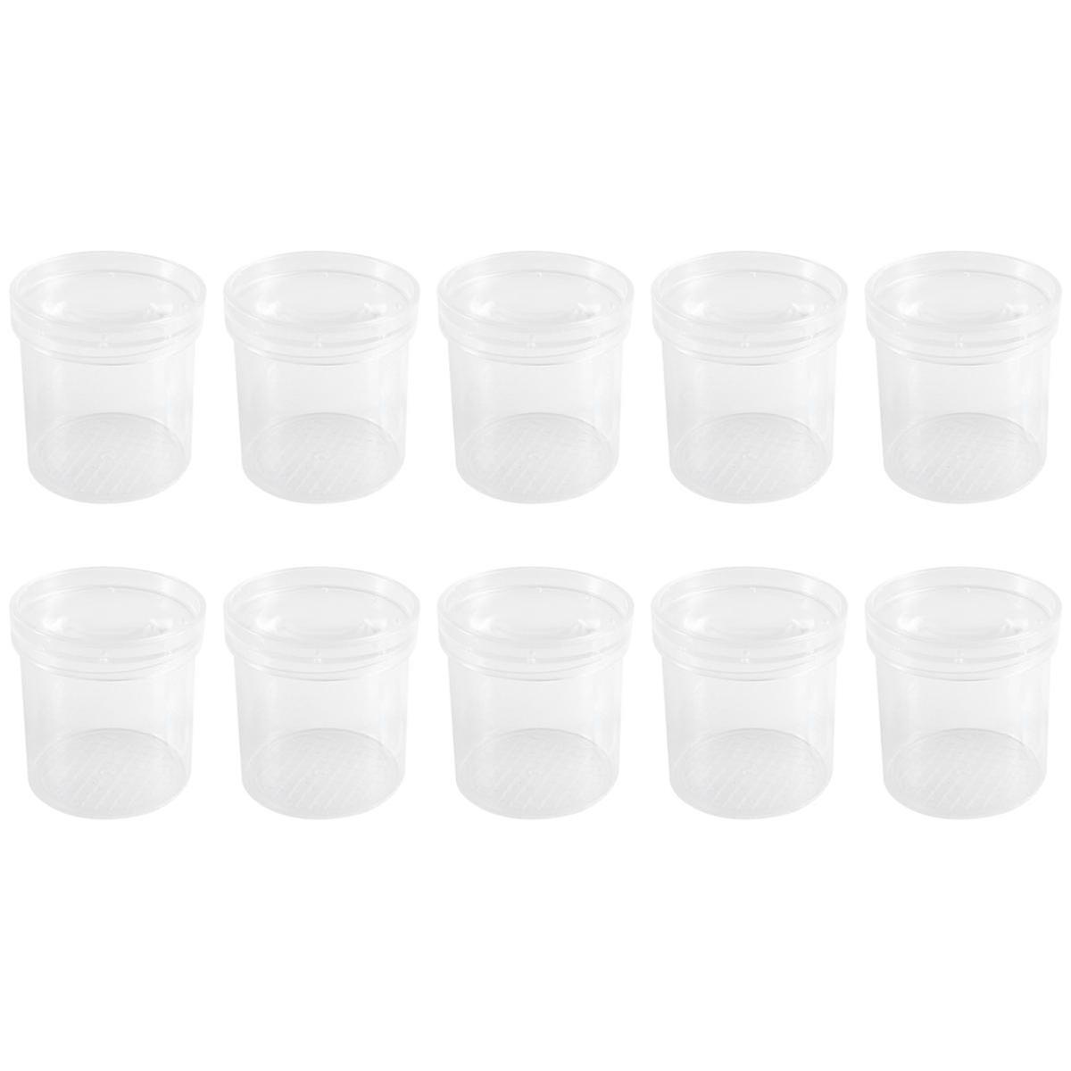 Insect Observation Cup Insect Magnifying Glass Insect Feeding Box Teaching Instrument Natural Obser