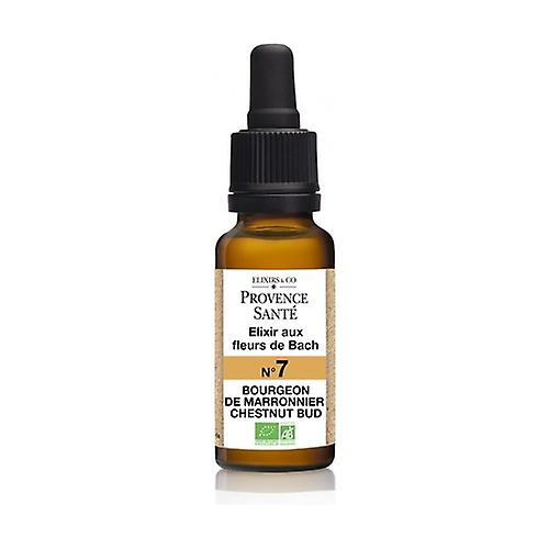 ORGANIC brown bud 20 ml of floral elixir