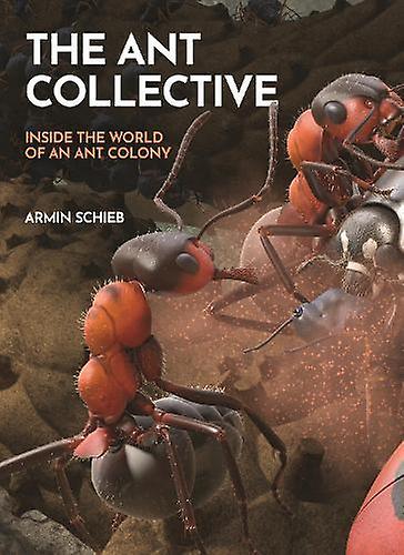 The Ant Collective - Armin Schieb - Hardback - English Book - Reference works