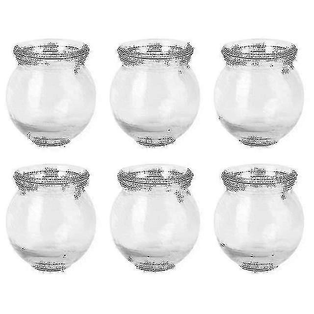 6pcs中国カッピンググラスセット、ヘルスケアのためのファイヤーマッサージ療法付き