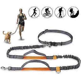 Lassen Sie Hundehände, lassen Sie verstellbaren und elastischen Jogging mit reflektierenden Nähten für Hunde bis 110 kg