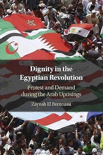Dignity In The Egyptian Revolution by Zaynab El Bernoussi Paperback