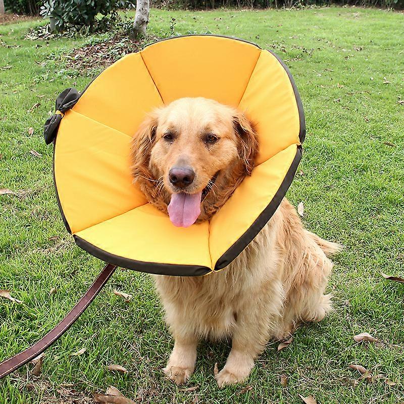 Large Dog Cones After Surgery Soft Dog Cone Collar With Adjustable Buckle Gift