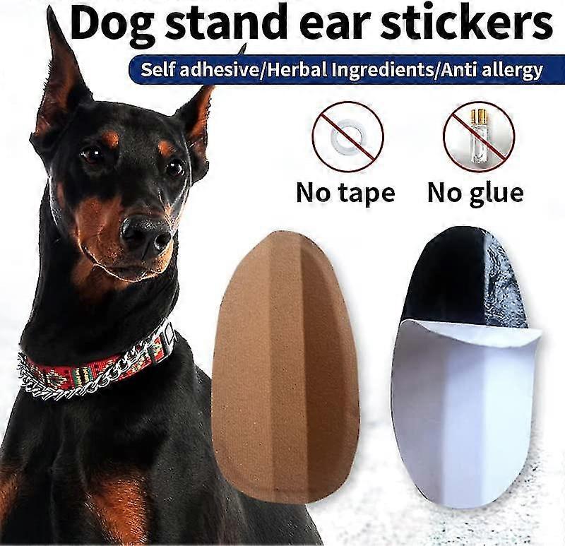 Dog Ear Stand Fixed Support Correction Erect Holder Patch For Doberman Pinscher Sheltie Corgi