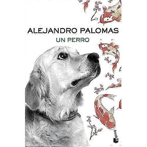Palomas, A: Perro
