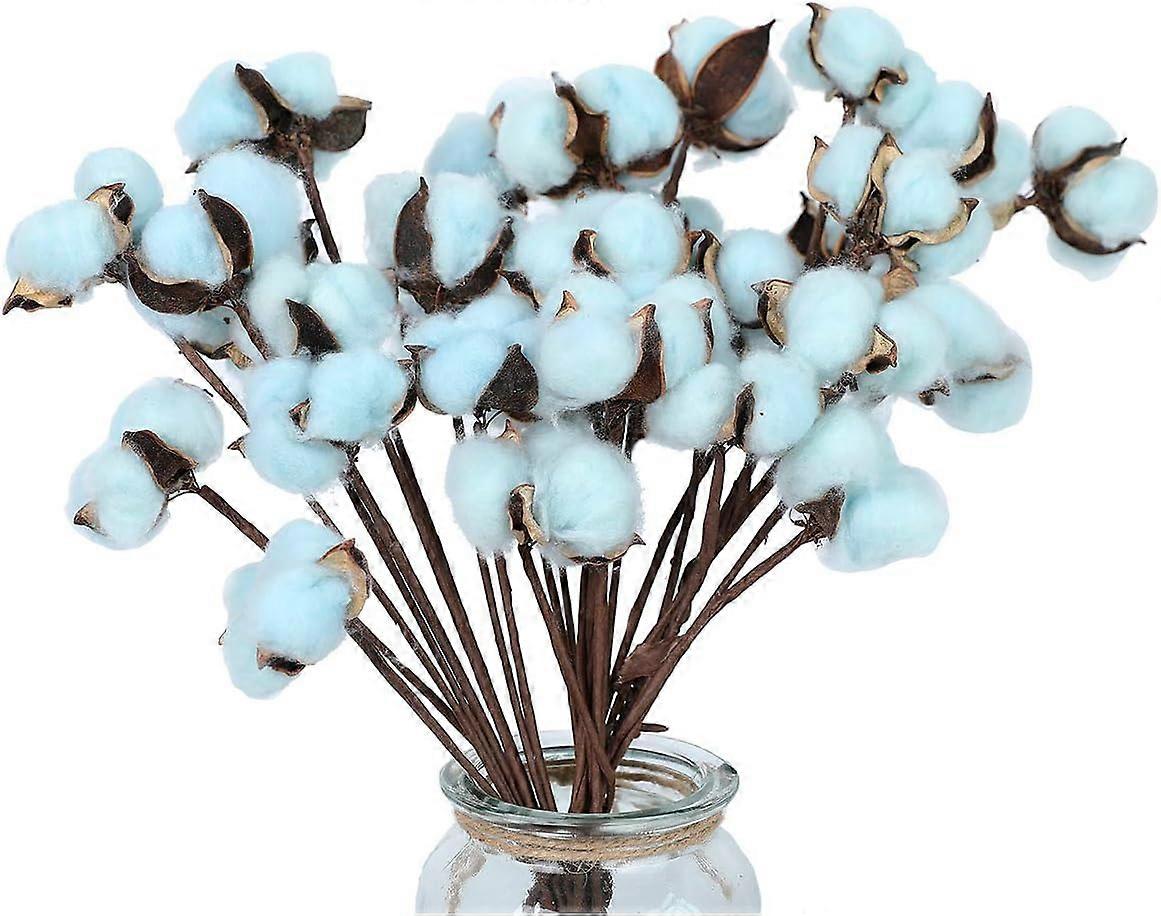 Tallos de algodón, flores secas de algodón, decoración estilo granja