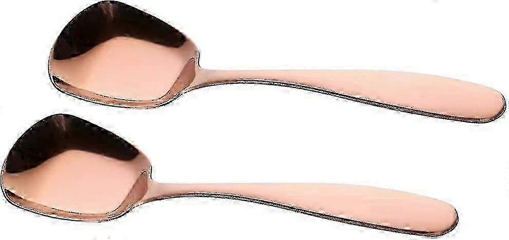 2pcs Stainless Steel Rainbow Serving Spoons