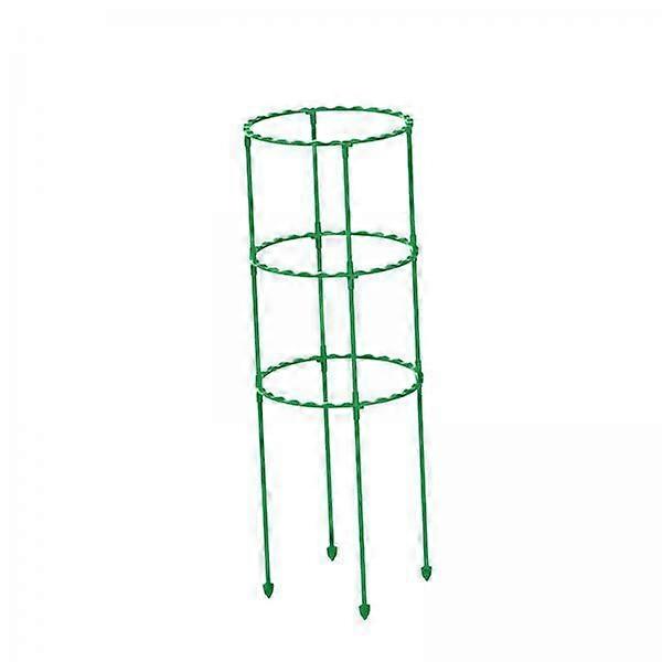 Robustní podpora rostlin pro růst