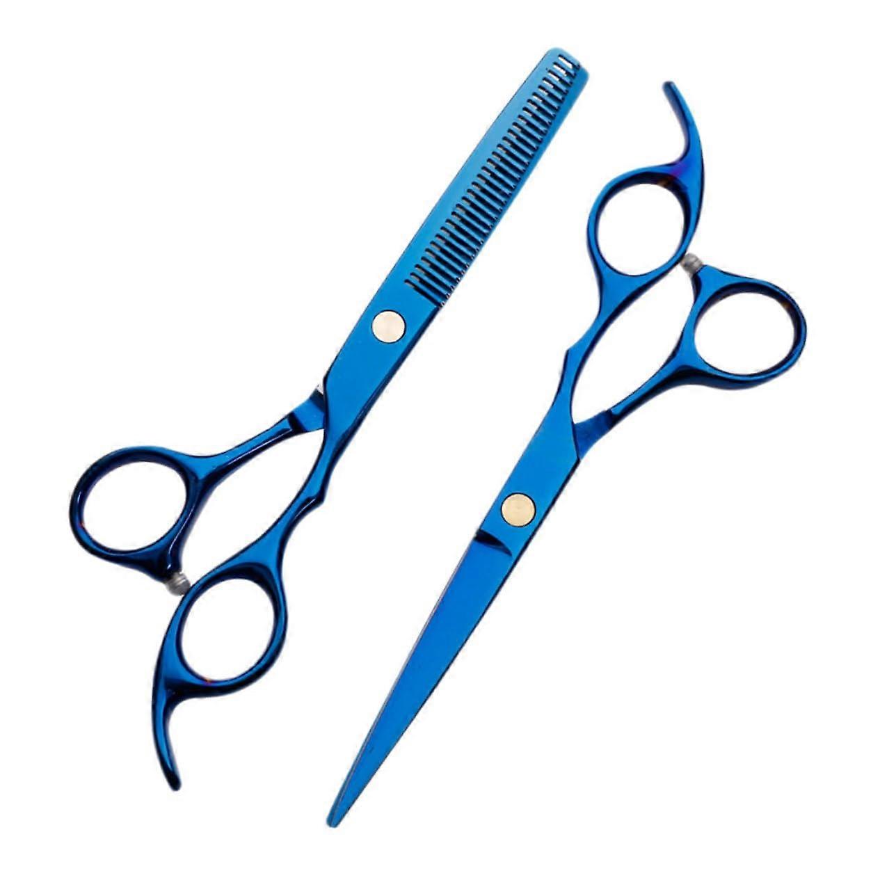 2-Piece Hair Cutting Scissors Set for Salon Use, Professional Barber Shears, Blue Color, Durable Stainless Steel