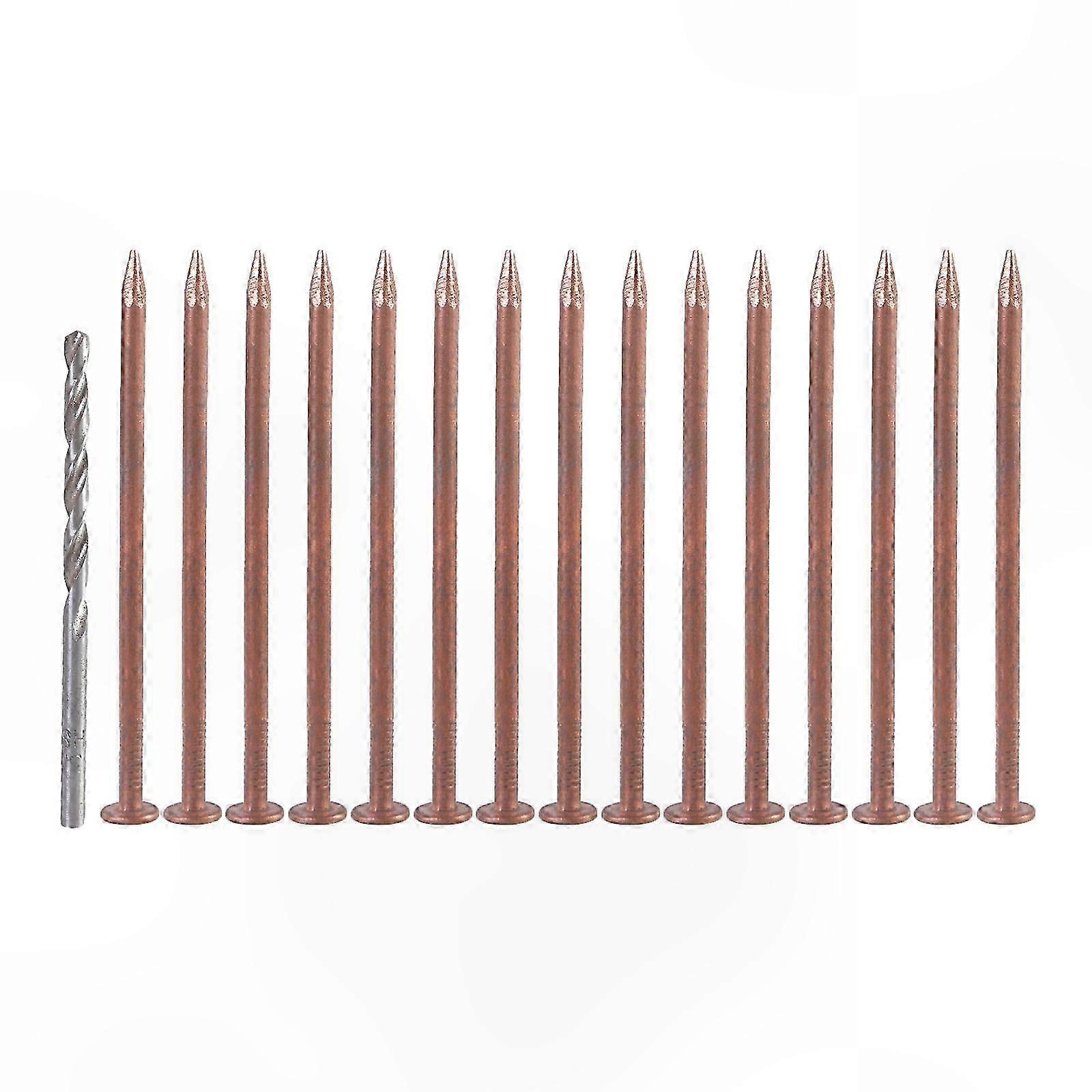 15Pcs Purely Copper Nails to Killing Trees Stump Removal Spikes Hardware Nails Tree Stump Killers Nails Easy to Use