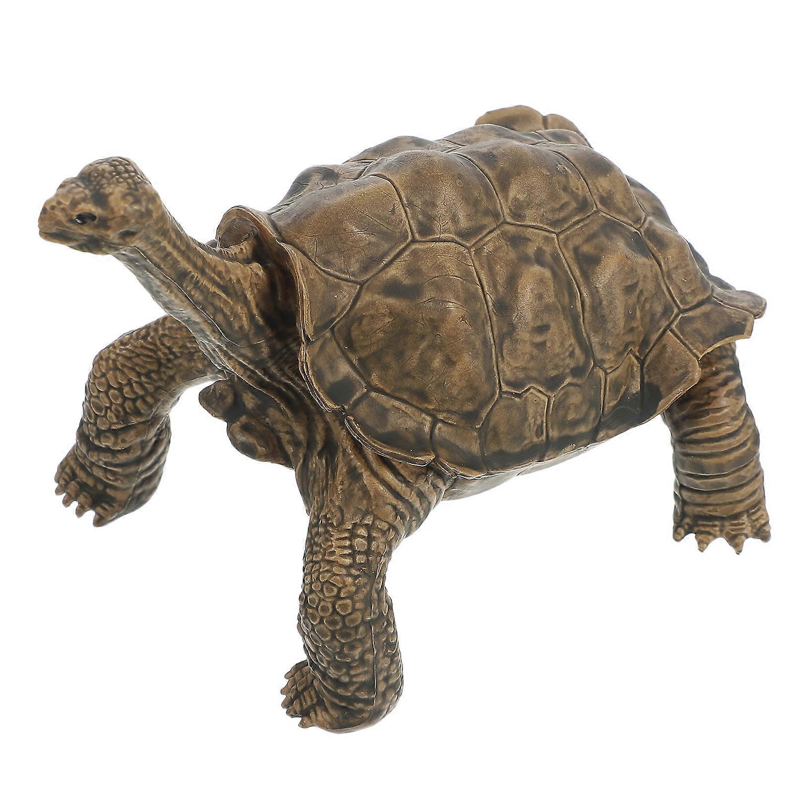 Turtle Figure Model for Decoration 5Pcs Realistic Simulation Turtle Figurines