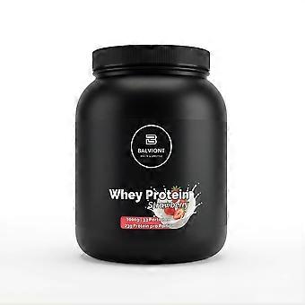 Premium Molkenprotein Erdbeer-Sahne - 1,000 g