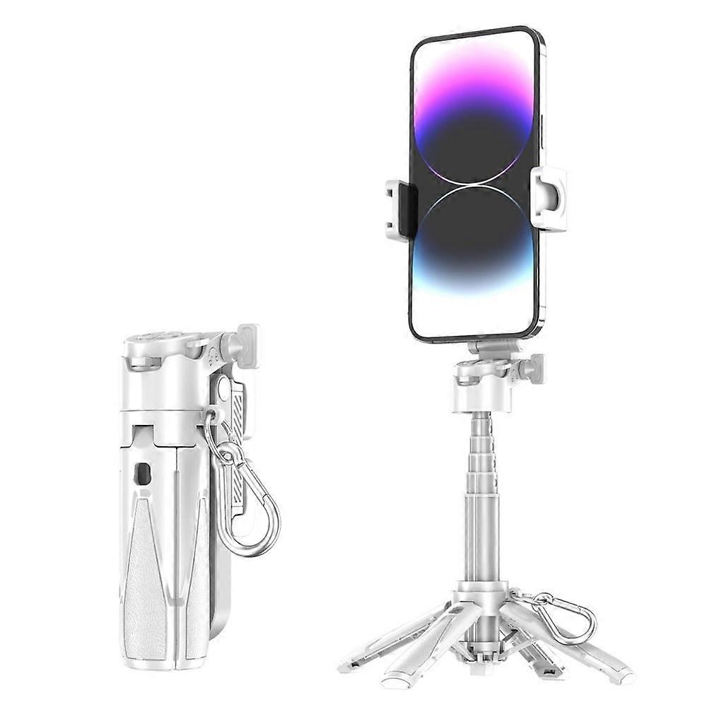 Mini Portable Selfie Stick P15T