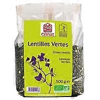 Organic green lentils 500 g
