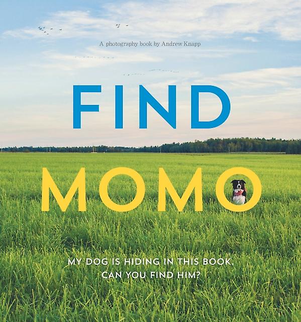 Find Momo by Andrew Knapp Paperback