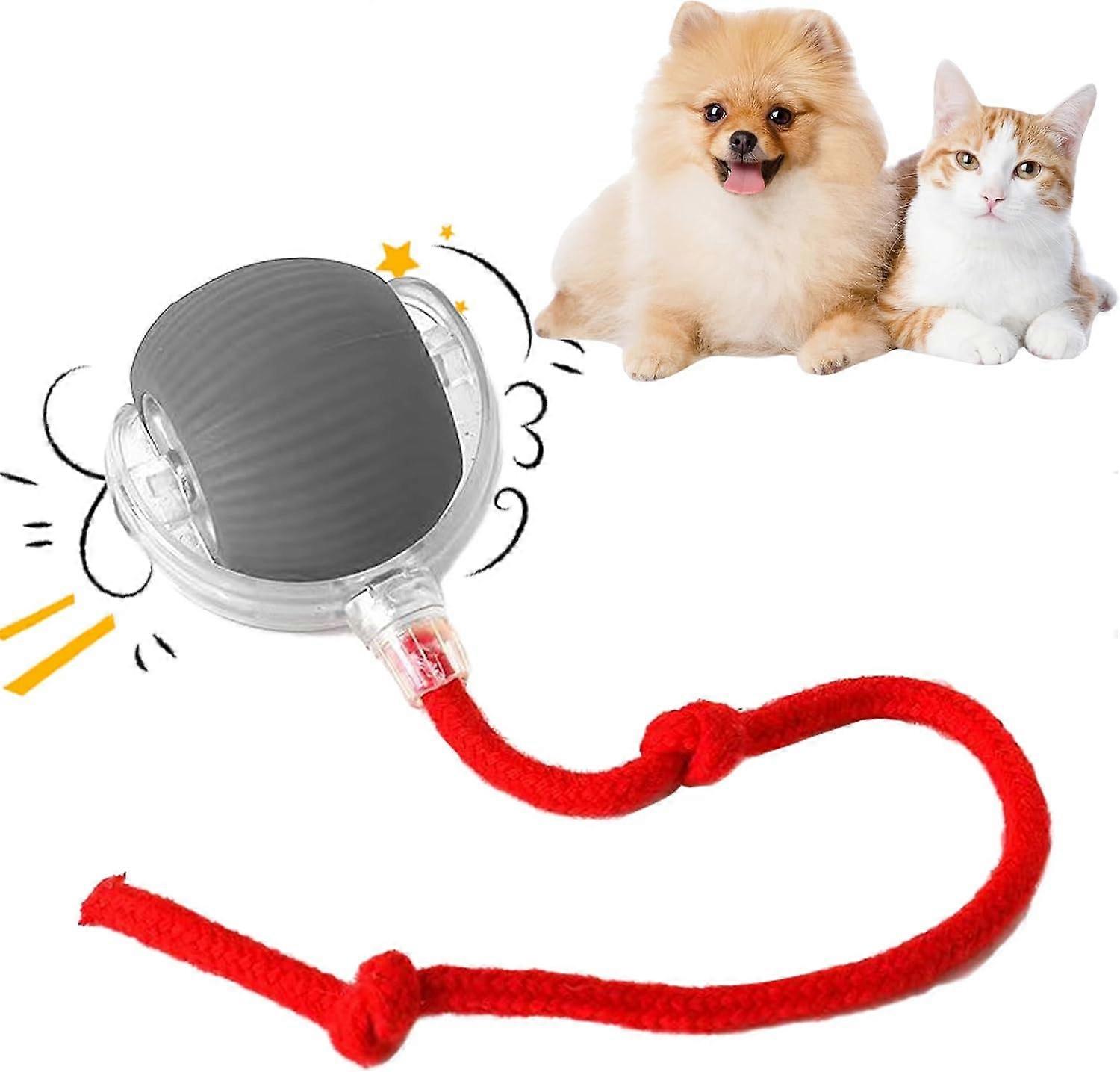 Interactive rolling dog ball, rolling ball, interactive rolling ball dog toy, rolling ball, puppy ball (gray)