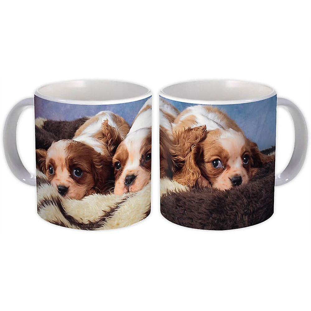 Gave krus: Hunder Kjæledyr