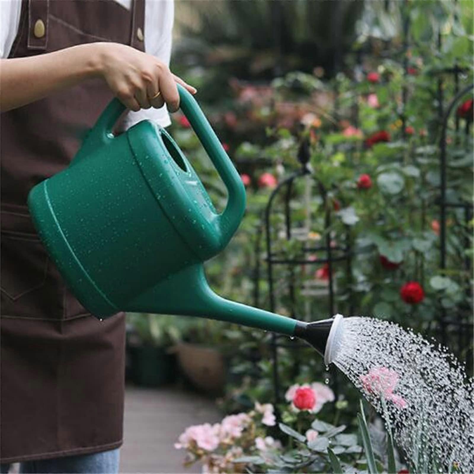 Watering Can 3L Green, Small Indoor and Garden Watering Can with Removable Spray for Easy Flower Watering