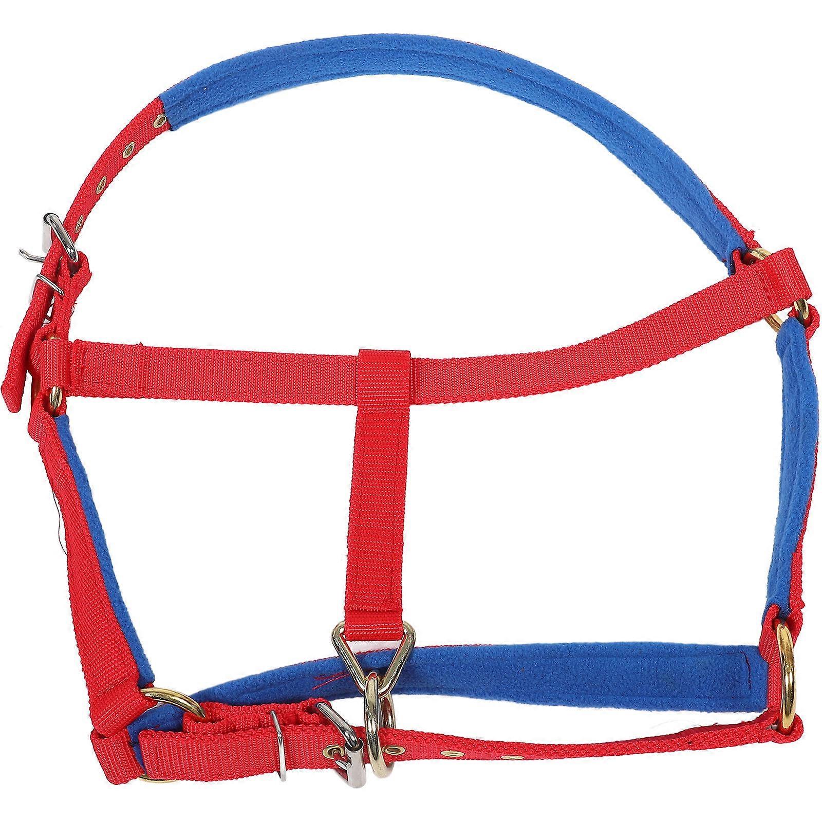 Bridles Horse Halter Protective Accessory for Equestrian Competitions Everyday Use Fleece Lining 1Pack