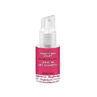 Dry Shampoo Spray, 2 Pieces, Refreshing Hair, Airy High Crown, Fluffy and Smooth, No-Wash Required