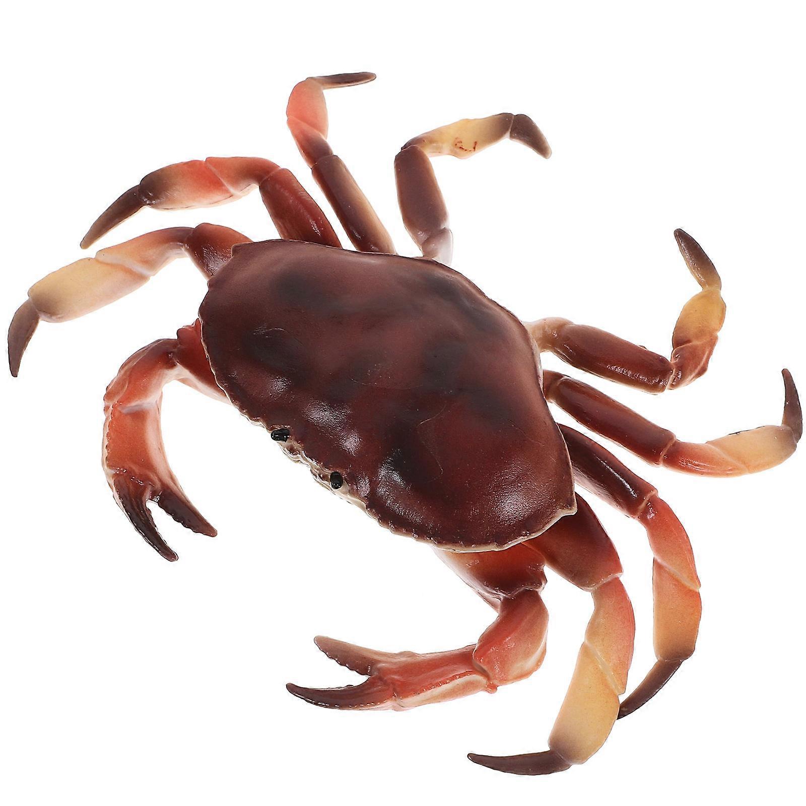 Realistic Simulation Crab Model Educational Plastic Simulated Crab Model Artificial Animal Model