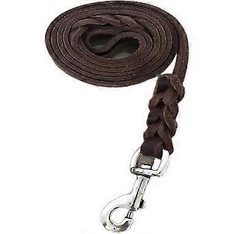 Soft Leather Dog Leash, Twist Braided, 360° Rotated Brass Hook, for Small to Large Dogs Outdoor Training Walking Hiking Camping