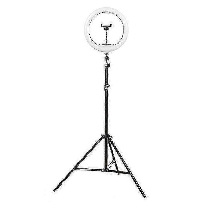 10 Inch Dimmable Triple-White Ring Light