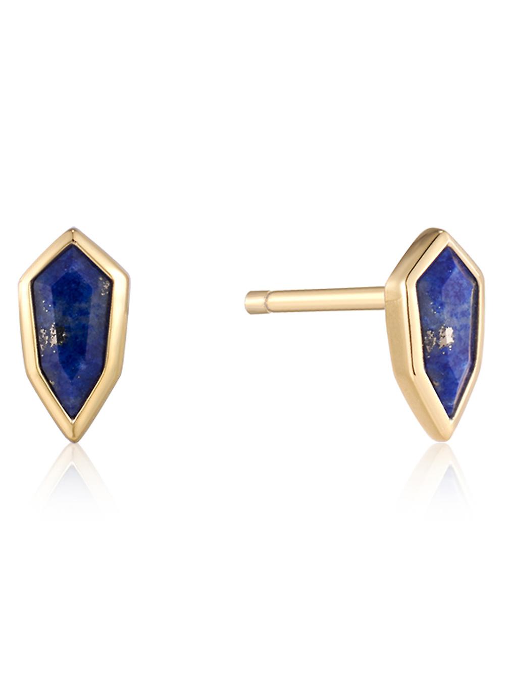 ANIA HAIE Earring E042-01G-L