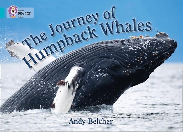 The Journey Of Humpback Whales by Andy Belcher Paperback Book