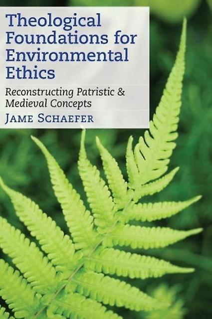 Theological Foundations For Environmental Ethics by James Schaefer Paperback Book