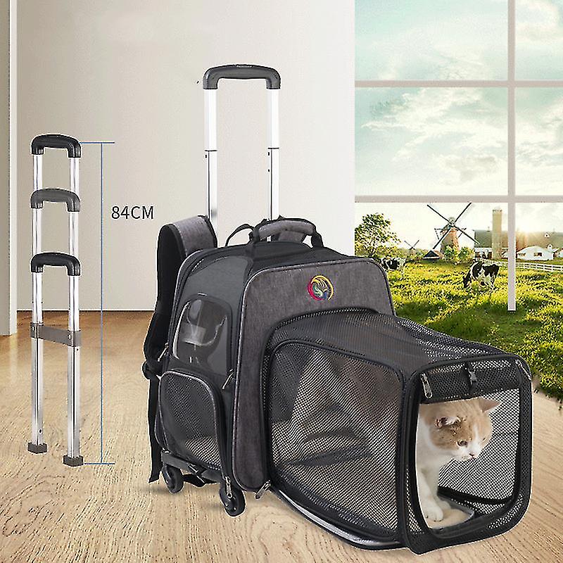 حقيبة القط ذات القضيب الرمادي والمحمولة على عجلة تنفس حقيبة حمل للحيوانات الأليفة حقيبة ظهر للسفر في الهواء الطلق Fa0984