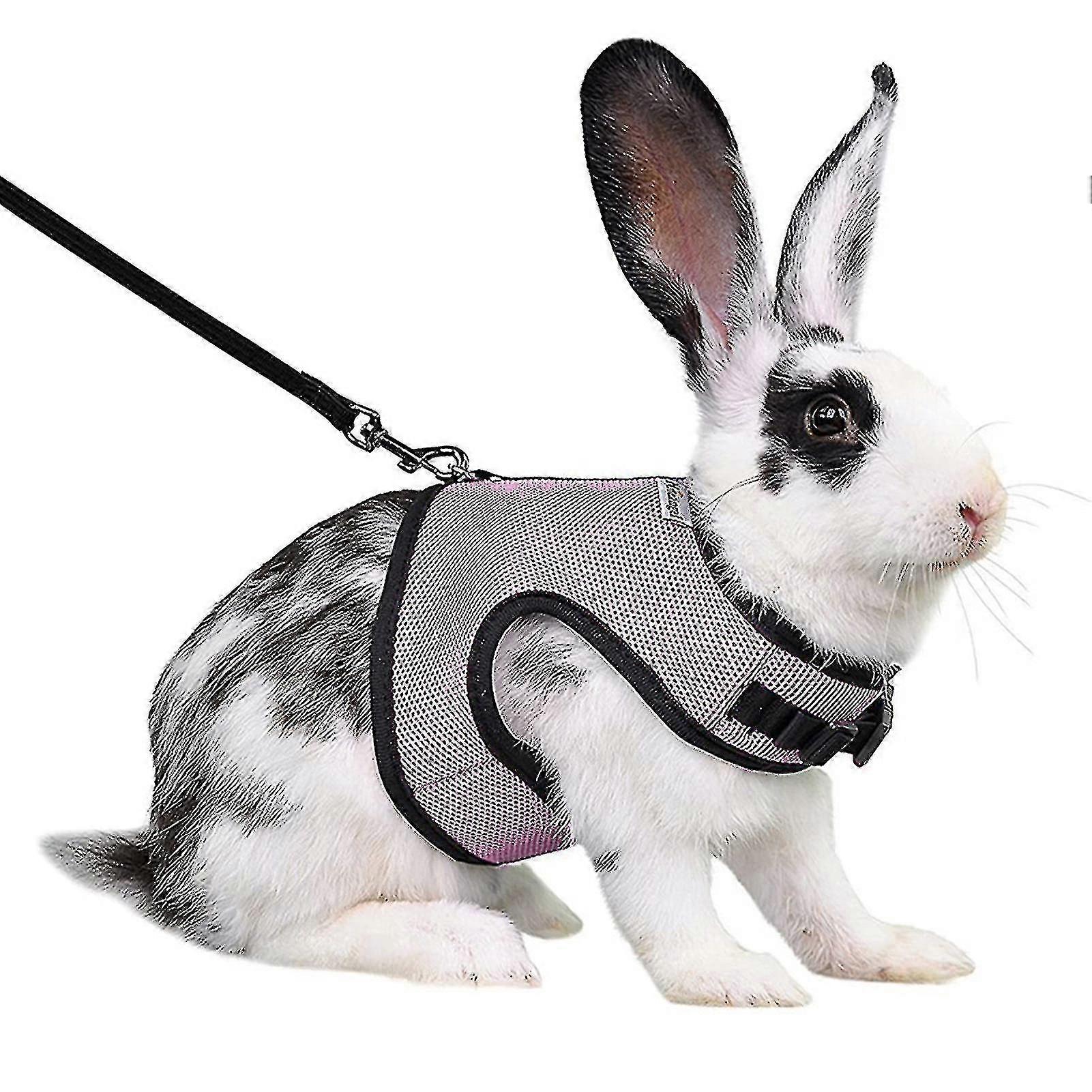 Rabbit Harness Comfortable Adjustable Traction Tool Ferret Rat Hamster Soft Mesh Harness Belt Vest Set Pet Supplies
