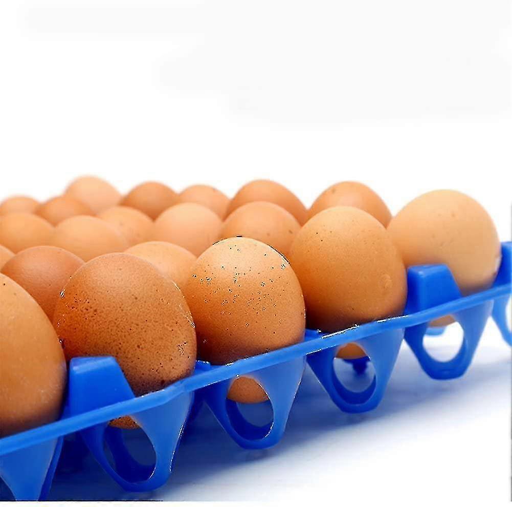 Plastic Egg Trays For 30 Pieces Eggs Eggs Storage Trays