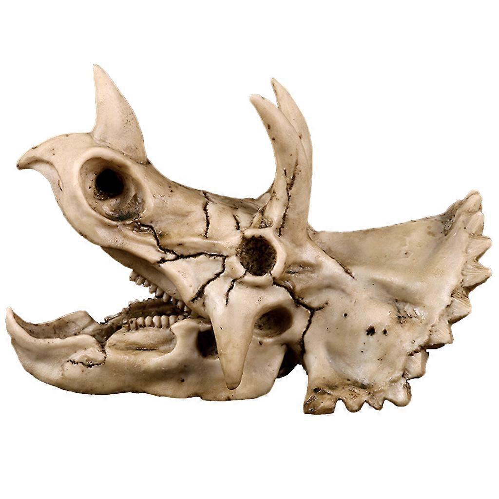 Triceratops Dinosaur Skull Resin Crafts for Fossil Skeleton Teaching Model Hallo