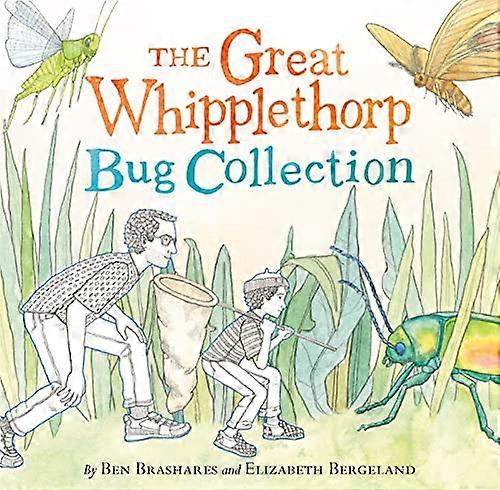 The Great Whipplethorp Bug Collection