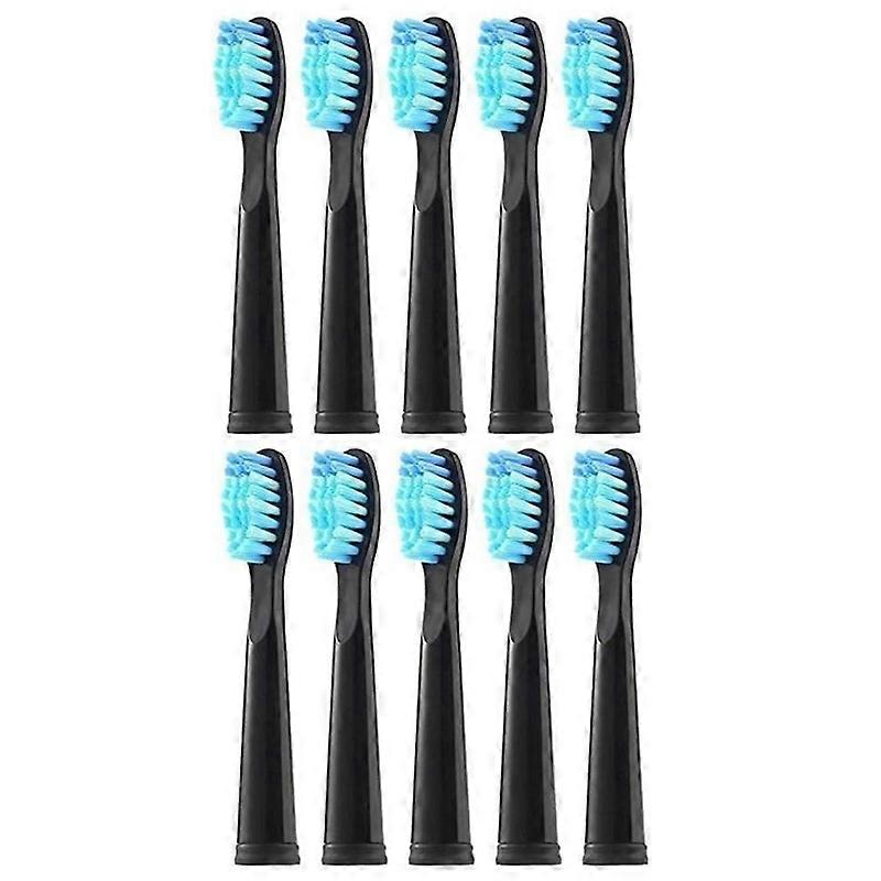 10PCS Electric Toothbrush Replacement Head for FW-507/D1 A