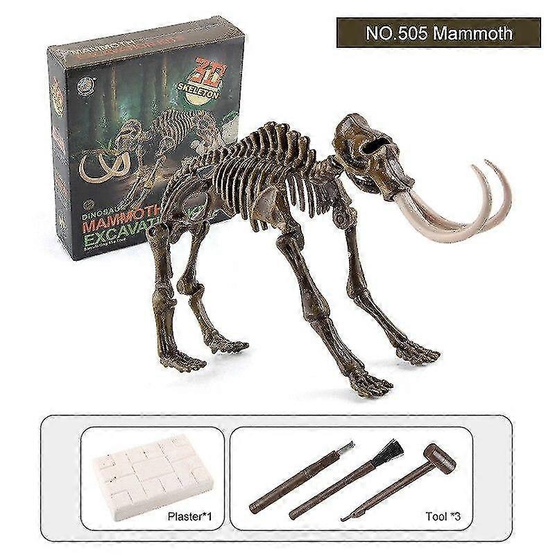 3D Archaeological Excavation Kit Skeleton Simulation Dinosaur Fossils Skeleton Archeology Education Toy For Child 2025
